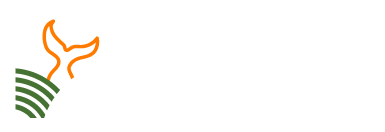 Fdeli