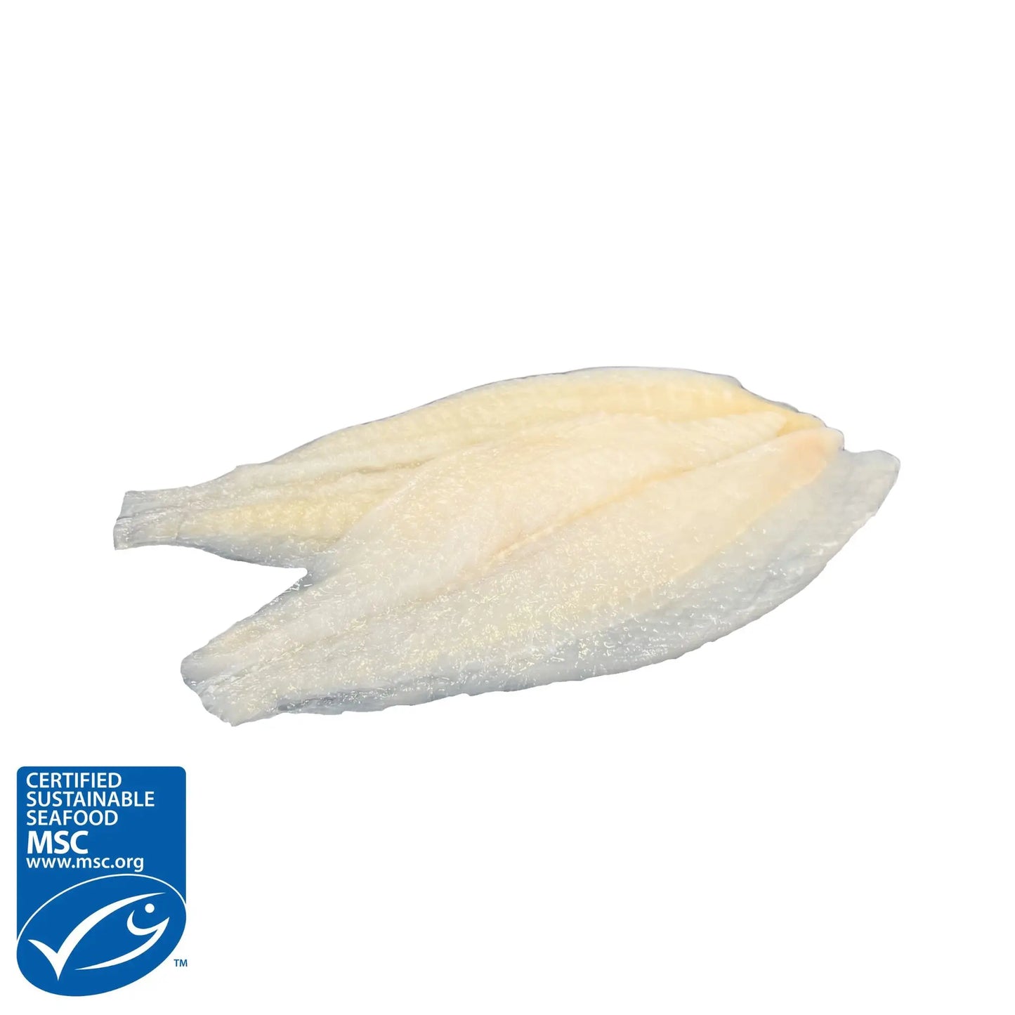 Färskfryst spättafilé av högsta kvalitet, vildfångad och MSC-märkt.