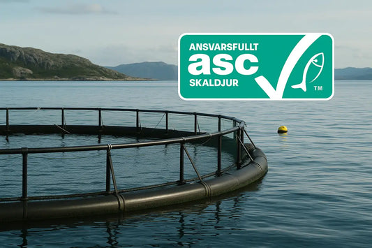 ASC-märkt fisk- och skaldjur – symbol för ansvarsfull odling och hållbarhet