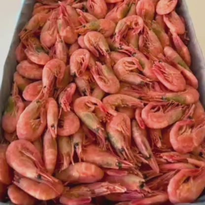 Video som visar MSC-märkta räkor 70/90 från Barents hav - hållbart fiskade och fräscha, FDELI