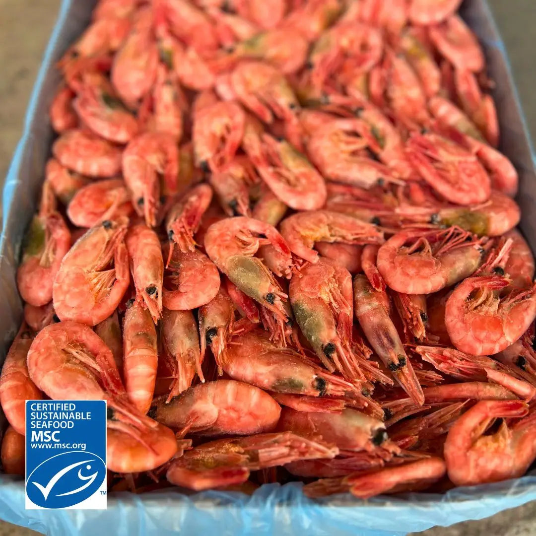 MSC-märkta räkor 70/90 från Barents hav - prisvärda och hållbart fiskade från FDELI.