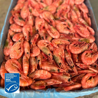 MSC-märkta räkor 70/90 från Barents hav - prisvärda och hållbart fiskade från FDELI.